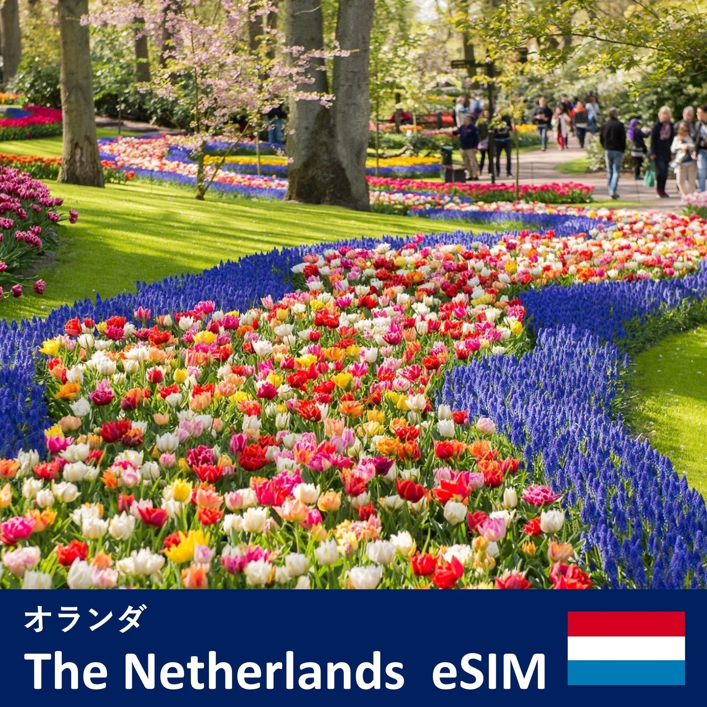 Belanda