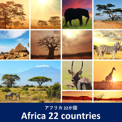 Regional plan：Africa 22 countries