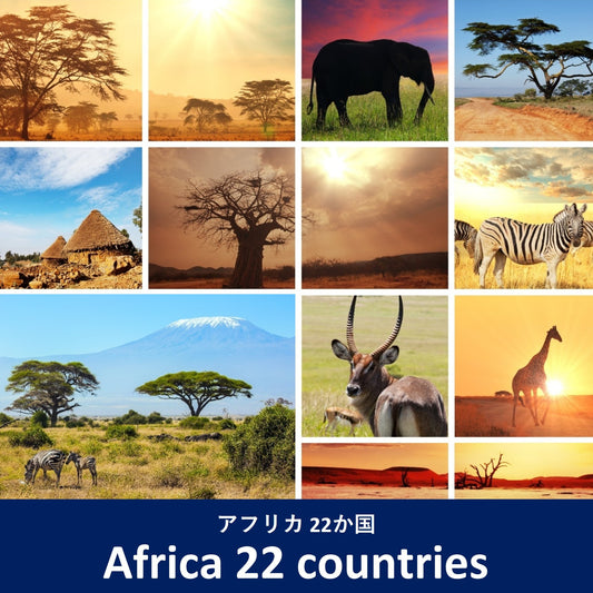 Regional plan：Africa 22 countries